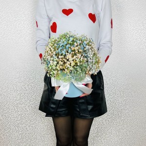 gispsofila-miks-v-korobke.28