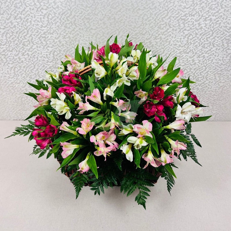 Роскошные альстромерии в корзине